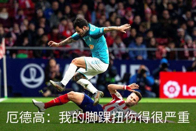 厄德高：我的脚踝扭伤得很严重